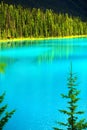 Landscape of Banff National Park Royalty Free Stock Photo